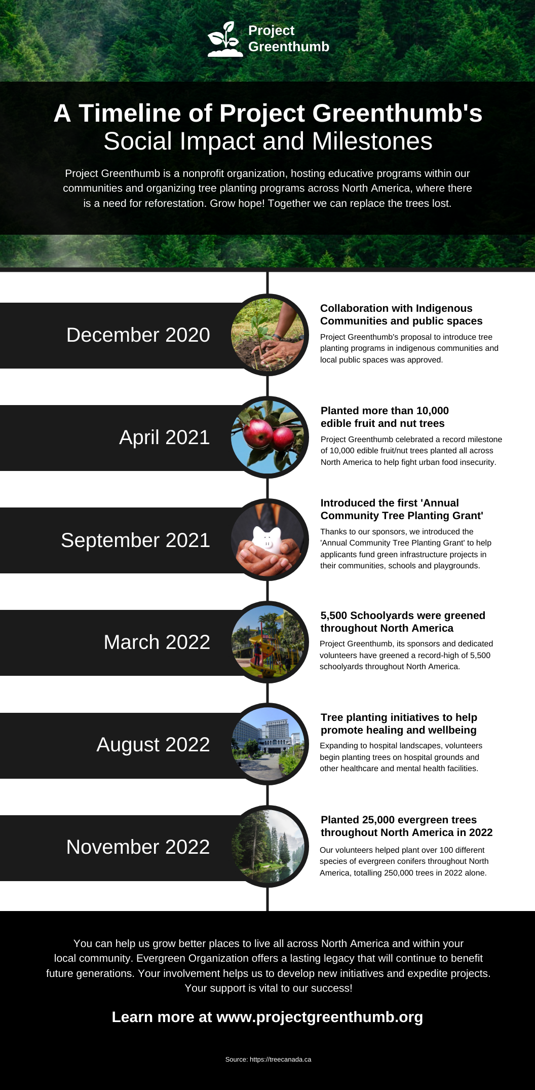 Environmental Nonprofit Timeline Infographic Template Environmental Nonprofit Social Impact Timeline Template